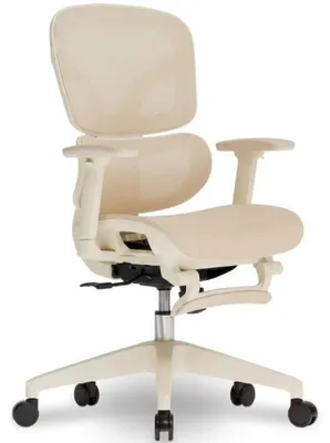 Image de Chaise de bureau ergonomique BS5W-M2, en mesh, couleur pêche