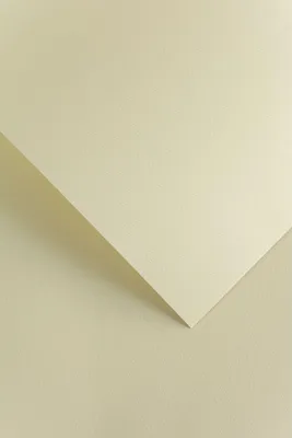 Obrázek produktu pro Galeria Papieru ozdobný papír Florida ivory 220g, 20ks