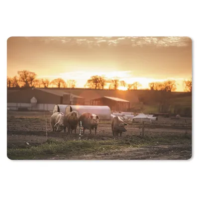 Produktbild von MuchoWow® Schreibtischunterlage Bauernhof - Sonne - Schwein 60x40 cm - XXL Mauspad - Großes Mauspad