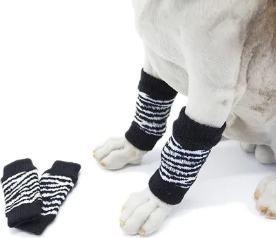 A dog wearing leg warmers on its front legs, with a pair of leg warmers lying on the ground next to it.