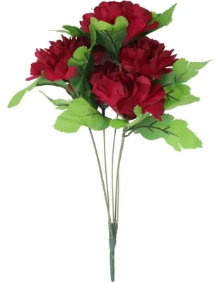 Produktbild von Strauß aus 5 bordeauxroten Chrysanthemen