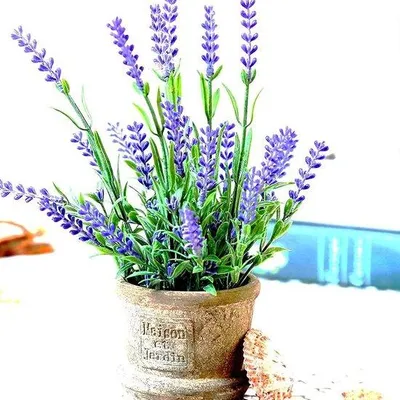 Imagen del producto de Famanu: 2 plantas artificiales en miniatura con macetas, color verde