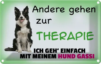 Produktbild von vianmo Blechschild 20x30 cm ich geh' mit meinem Hund Gassi Tier Haustier