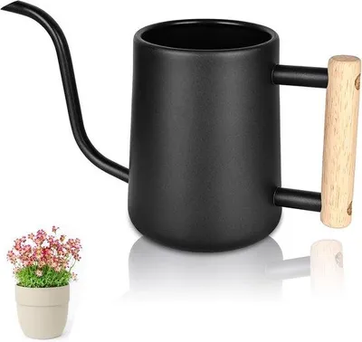 Produktbild von Unyqoos® Edelstahl-Gießkanne 1 L mit Holzgriff – schwarz, Indoor-Gießkanne für Zimmerpflanzen & Büro, gebogene Tülle, offene Einfüllöffnung