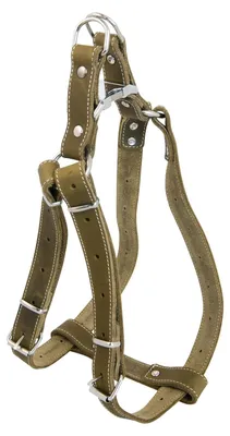 Leder-Hundegeschirr, verstellbar 40-60 cm, Grün