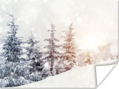 Produktbild von MuchoWow® Poster Baum - Schnee - Winter 160x120 cm - Foto Plakat