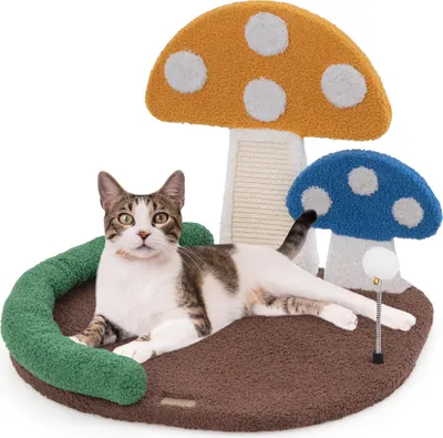 Produktbild von GOPLUS Kratzbaum Pilzbett, Katzenbaum klein mit bequemer Schlaffläche, Sisalbrett & Federball, modernes Katzenmöbel mit Kratzbereich, Bunt