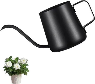 Immagine prodotto di Mini-annaffiatoio per piante da appartamento - 250 ml - Acciaio - Beccuccio lungo