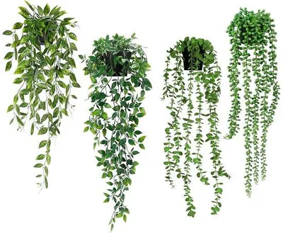 Image de Plantes suspendues artificielles en eucalyptus avec pots, lot de 4, pour la maison et le jardin