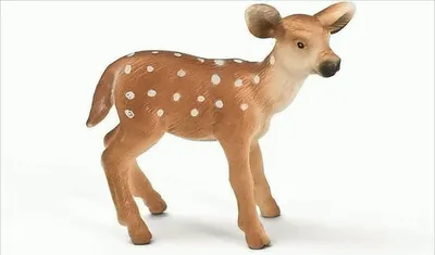 Produktbild von SCHLEICH 14256 - Wild Life, Weißwedelkalb