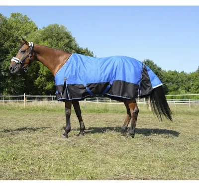 Produktbild von EQUITHÈME TYREX 1200D Aisance Decke, Outdoordecke 0 g, Farbe:blau/schwarz, Größe:Rückenlänge 105 cm Polyfil 0 g