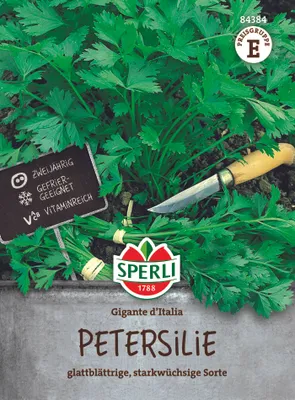 Produktbild von SPERLI Petersiliensamen Gigante d’Italia Petroselinum crispum 250 Pflanzen