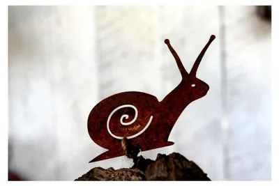 Produktbild von Rostige Schnecke