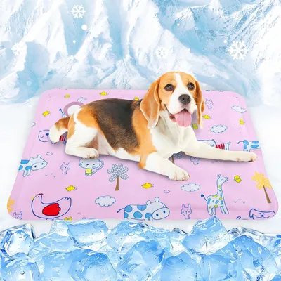 Produktbild von Kühlmatte 30 x 40 cm, selbsterfrischend, für Hunde und Katzen, bis 4 kg, für Camping