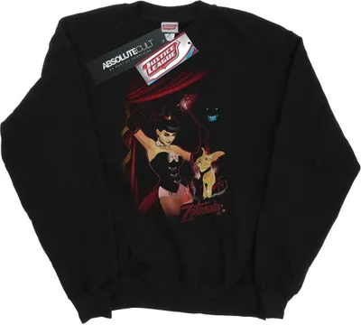 Produktbild von DC Comics - Sweatshirt für Herren BI29332 (XL) (Schwarz)