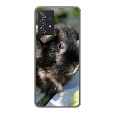 Produktbild von MuchoWow® Handyhülle Schutzhülle Hülle für Samsung galaxy a73 Meerschweinchen im Garten Silikon Softcase Handy Hülle - Handyhülle