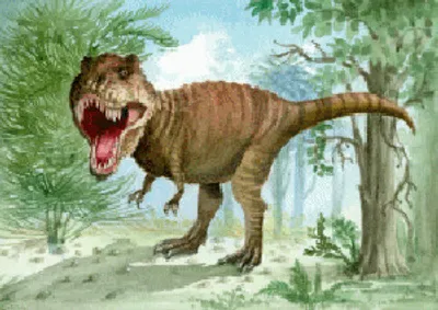 Produktbild von 3 D Ansichtskarte Dinosaurier, T-Rex, Postkarte Wackelkarte Hologrammkarte Tiere Tier Dinos Tyrannosaurus