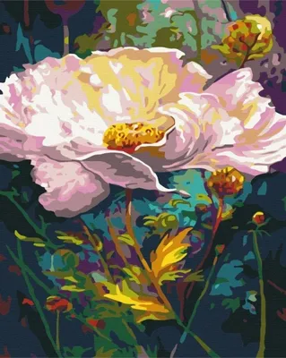 Productafbeelding van Schilderen op nummer, BRUSHME, 40x50 cm, Prachtige bloem