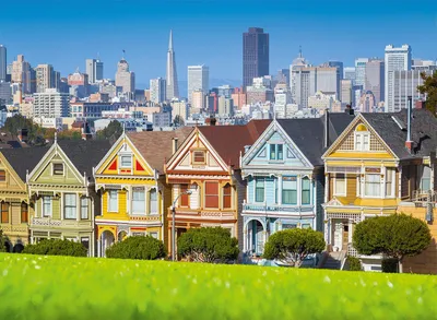 Zdjęcie produktu dla BLUEBIRD Puzzle Painted Ladies 3000 Teile