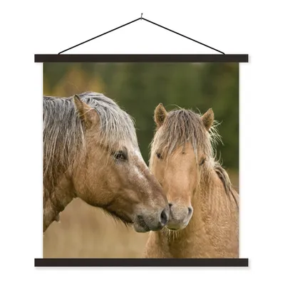 Produktbild von MuchoWow® Textilposter Nahaufnahme von kuschelnden Fjordpferden 60x60 cm mit schwarzem Rahmen - Posteraufhänger