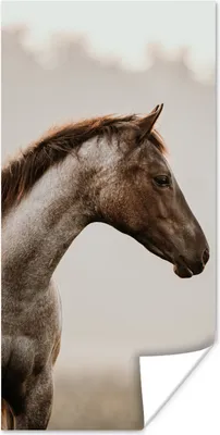 Produktbild von MuchoWow® Poster Pferd - Nebel - Natur 20x40 cm - Plakat - Foto