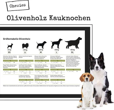 Produktbild von Chewies Kauknochen aus Olivenholz für Hunde, 100 % natürlich, Größe XS, für Hunde bis 5 kg