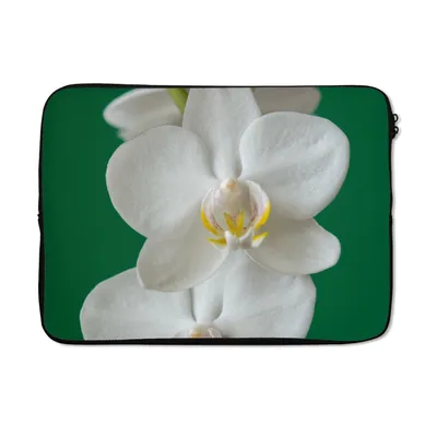 Produktbild von MuchoWow® Laptop Hülle 14 ZollOrchidee mit grünem Hintergrund Laptoptasche - Laptoptasche - Stoßsicher - Schutzhaube