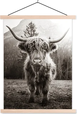 Produktbild von MuchoWow® Textilposter Schottisches Hochlandrind - Schwarz - Weiß - Tiere 60x80 cm mit holzfarbenen Rahmen - Wandbild