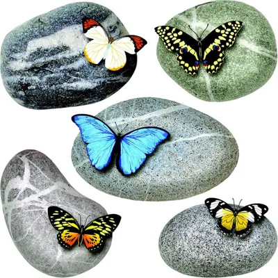 Produktbild von AG Design Wandstickers Schmetterlinge auf den Steinen, 30 x 30 cm