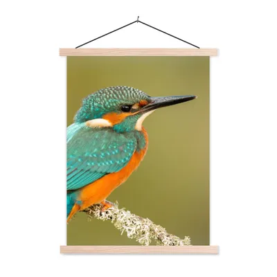 Produktbild von MuchoWow® Textilposter Eisvogel - Tiere - Vogel 60x80 cm mit holzfarbenen Rahmen - Wandbild