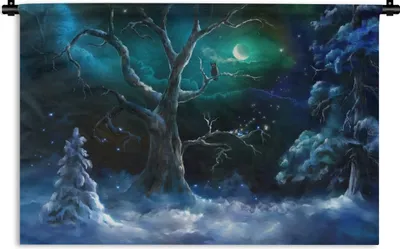 Produktbild von MuchoWow® Wandteppich Wandbehang Eule - Schnee - Mond 150x100 cm Tapisserie Dekoration Wandtuch - Waschbar - Tapisserien - Wand-Decke