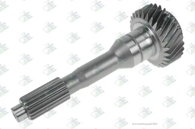 Produktbild von Euroricambi Getriebeeingangswelle Schaltgetriebe 60531933
