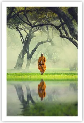 Produktbild von Poster - Poster ohne Rahmen - Mönch Wald Nebel - 61x91,5 cm - Wand Bild - Wanddeko - Wandbilder - Kunstposter - Wandposter - Bilder - Kunstdruck - Wanddekoration - Wandbild - P2XPA61x91-4286