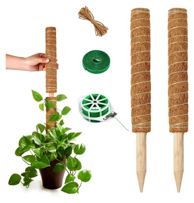 Produktbild von Monstera Rankhilfe, 2 Stück 40 cm Pflanzenstütze, Moosstab für Kletterpflanzen
