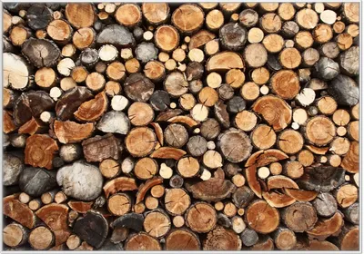 Produktbild von Wallario Wandbild Dunkler Holzstapel rund, Größe: 70,30 x 100,30 cm, Poster mit weißem Kunststoffrahmen