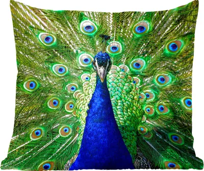 Produktbild von MuchoWow® Zierkissen Sofakissen Wohnzimmer Dekokissen 40x40 cm Pfau - Federn - Augen - Blau - Foto Kissen - Schlafzimmer Dekoration