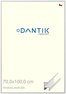 Obrázek produktu pro DANTIK rámeček 70x100 | ALU profil 6220 Bílá matná (Plexi Čiré)