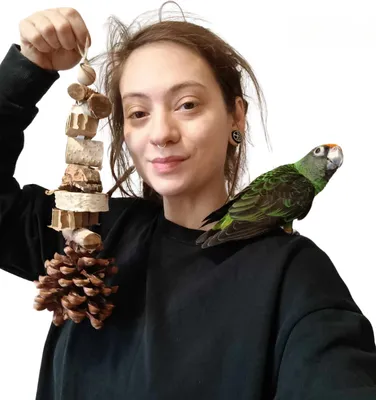 Zdjęcie produktu dla Szyszka na gigancie  - zabawka dla małych i średnich papug od PARROT DISASTER