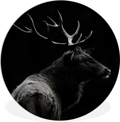 Produktbild von MuchoWow® Rundes Wandbild - Runde Bilder Hirsch - Schwarz - Porträt - Geweih - Tiere Ø 30 cm Kreis Wanddekoration Kunststoff - Wandkreis - Wandschmuck - Schlafzimmer - Bilder - Der Kreis - Kunst für die Wohnung - Plastik - Kunstdruck - Wandbild