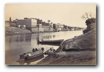 Immagine prodotto di Stampa artistica intitolata "Le rive del Nilo vicino al Cairo" di Francis Frith – 40 x 60 cm – non incorniciata