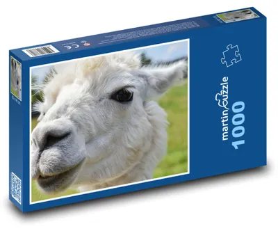 Obrázek produktu pro Puzzle 1000 Bílá alpaka na louce - martinpuzzle