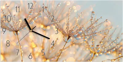 Produktbild von Wanduhr aus Glas mit Motiv Tautropfen Panorama- 60 x 30 cm - inkl. Aufhängesystem