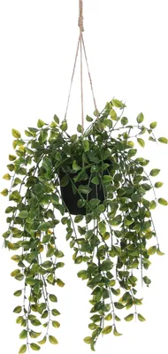 Produktbild von Mica Decorations Ficus hängende Kunstpflanze im Topf - H46 x Ø10 cm - Grün