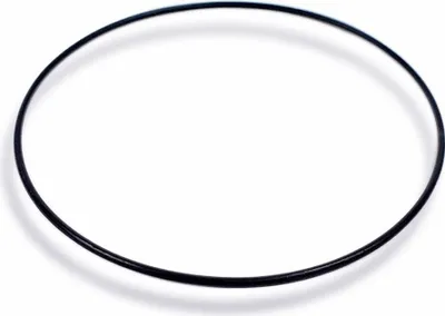 Produktbild von Festina Bodendichtung O-Ring schwarz rund Festina F16351 F16350 F16884