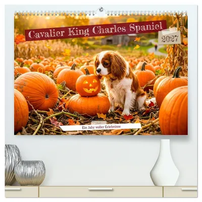 Produktbild von Cavalier King Charles Spaniel - Ein Jahr voller Erlebnisse (hochwertiger Premium Wandkalender 2027 DIN A2 quer), Kunstdruck in Hochglanz