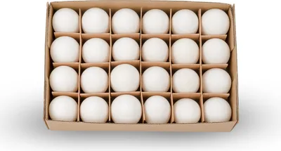 Produktbild von Hühnereier Weiß, Karton mit 24 Stück, ausgeblasen und gereinigt | Dekoeier