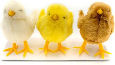 Image de Déco poules, Pâques 6 cm - 3 pièces