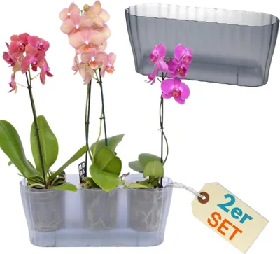 Produktbild von 2er Set Orchideentopf Transparent Orchideen Übertopf Pflanztöpfe Übertöpfe für Orchideen aus Kunststoff Innen Elegant Durchsichtig Orchideentopf groß rauchfarbig