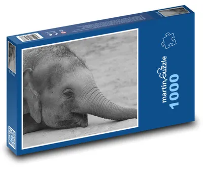 Obrázek produktu pro martinpuzzle - Puzzle 1000 - Malý slon