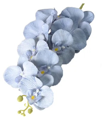 Produktbild von Künstliche Phalaenopsis-Blüten, 100 cm langer Stiel, realistische Haptik, künstlicher Orchideenzweig mit 9 voll erblühten Blütenköpfen, ideal für Vase, Zuhause, Hochzeit, Party oder als Tischdekoration.